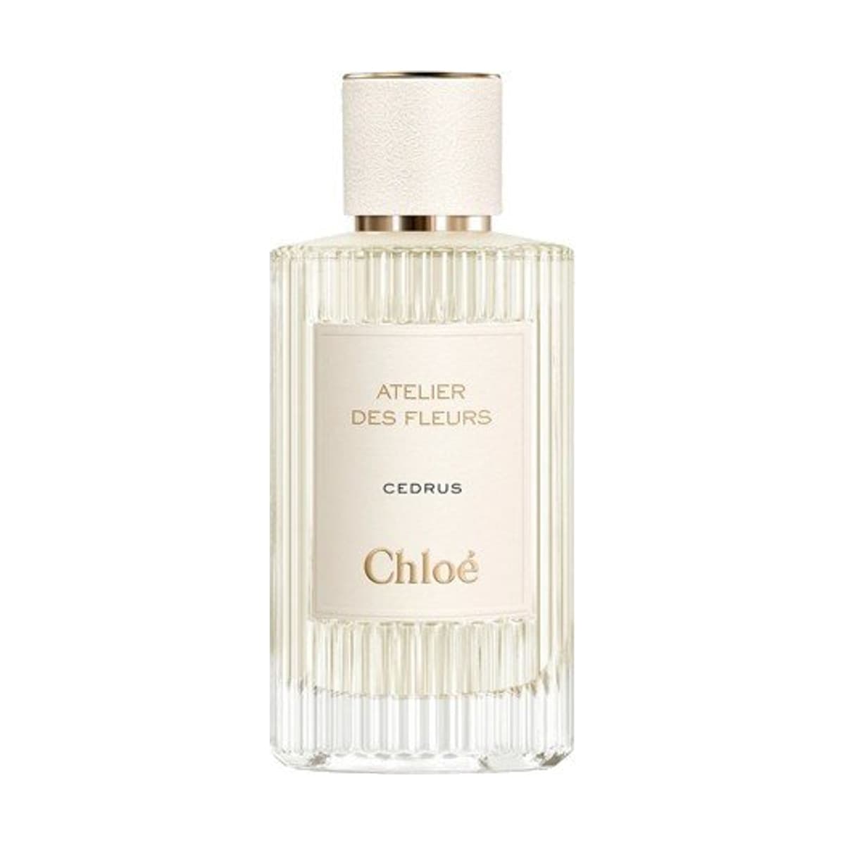 Chloe Cedrus