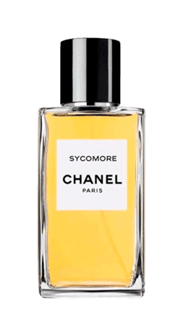 Chanel Sycomore