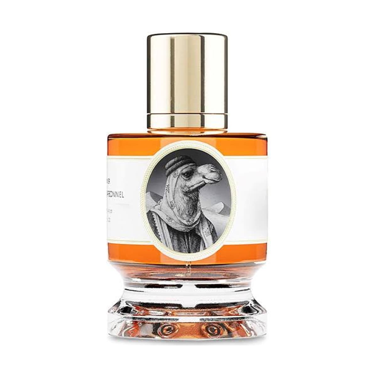 Zoologist Camel